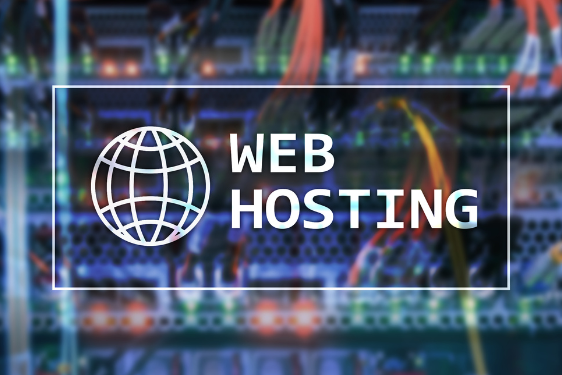 Finding an SEO-Friendly Web Hosting Provider